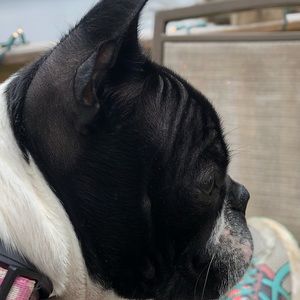 Meet your Posher, Amy